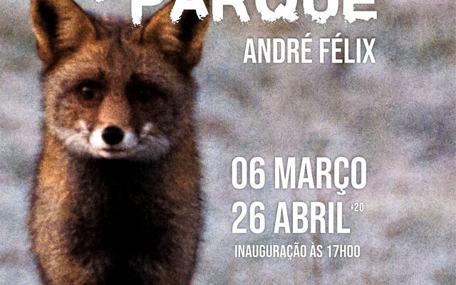 cartaz___exposicao_fotografias_pnm