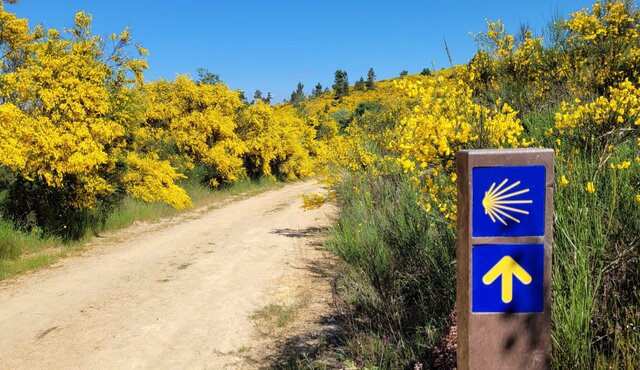 194624683_2532072460434501_5177850543812200051_n