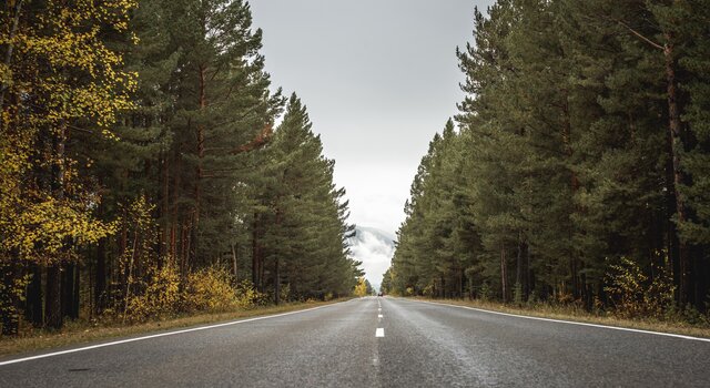 empty_asphalt_road_along_autumn_forest_with_golden_fall_foliage_stretching_into_distance_misty_mo...