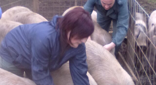 161120101008 1 640 350