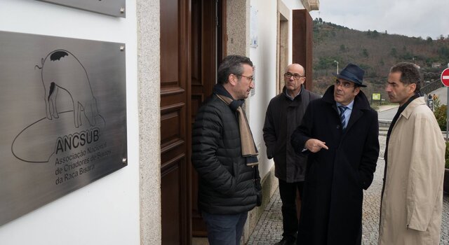 15585397 1606089399699483 7860132259384271507 o 1 640 350