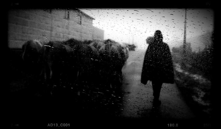 Foto  2  1  1 720 2500