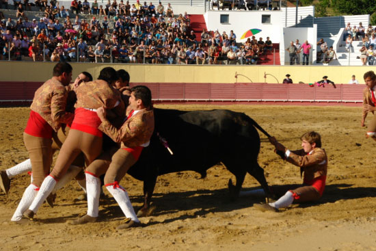Tourada-201036