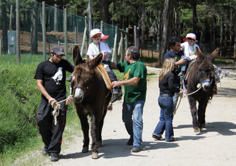 vilaflorparque148