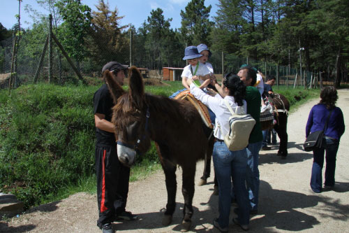 vilaflorparque152