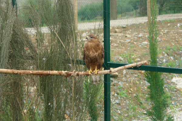 parque_biolgico_de_vinhais_1