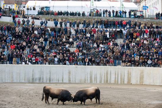 feira_do_fumeiro_2009_89