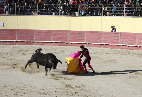 Tourada-FFumeiro-201117