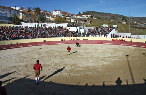 Tourada-FFumeiro-201124