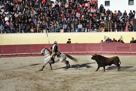 Tourada-FFumeiro-201128