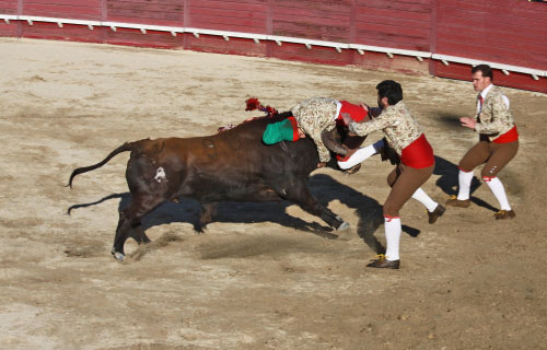 Tourada-FFumeiro-201135