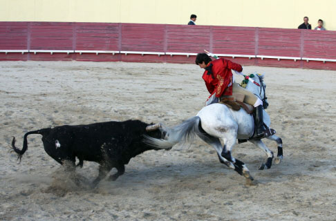 Tourada-FFumeiro-201138