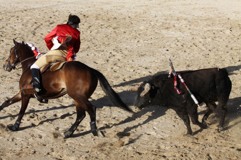 Tourada-FFumeiro-201142