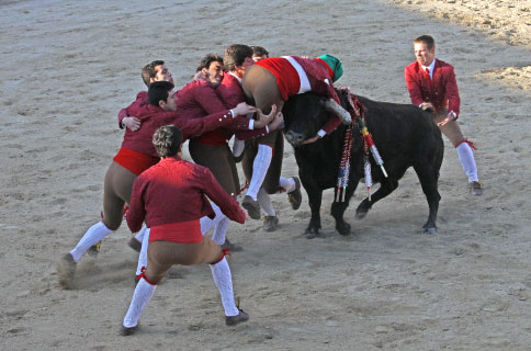 Tourada-FFumeiro-201144