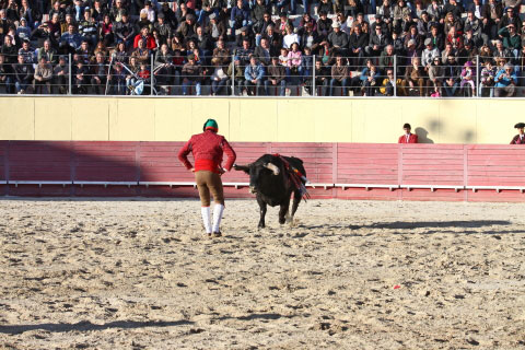 Tourada-FFumeiro-201146