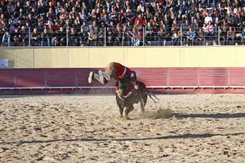 Tourada-FFumeiro-201147