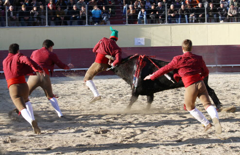 Tourada-FFumeiro-201148