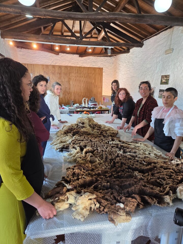 8dbd82b6-1bba-471b-8c8c-db201ca11e70