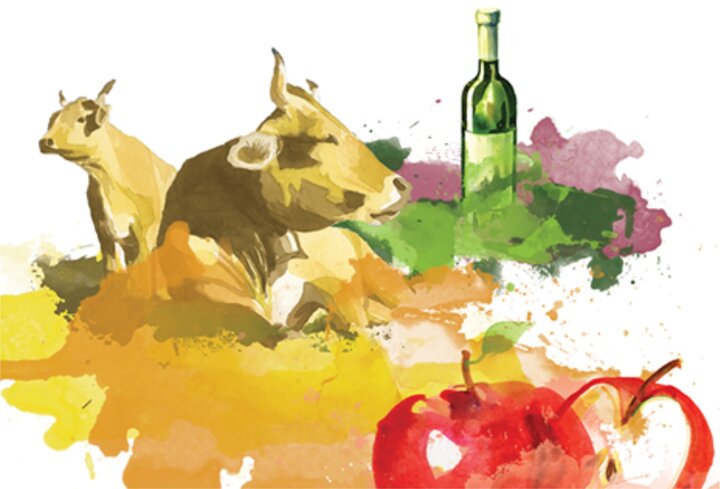 Miniatura 1 720 2500